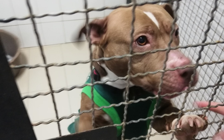 Zbiórka Czila prosi o pomoc - zdjęcie główne