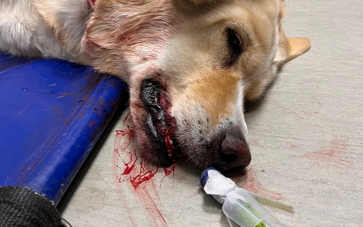 Zbiórka Sunia po wypadku SOS - zdjęcie główne