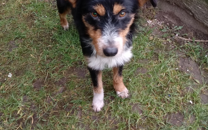 Zbiórka Pomóż mi... Zimno... - zdjęcie główne