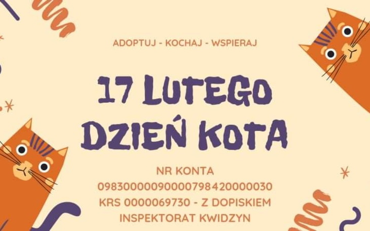 Zbiórka Dzień kota z Otoz Animals Kwidzy - zdjęcie główne