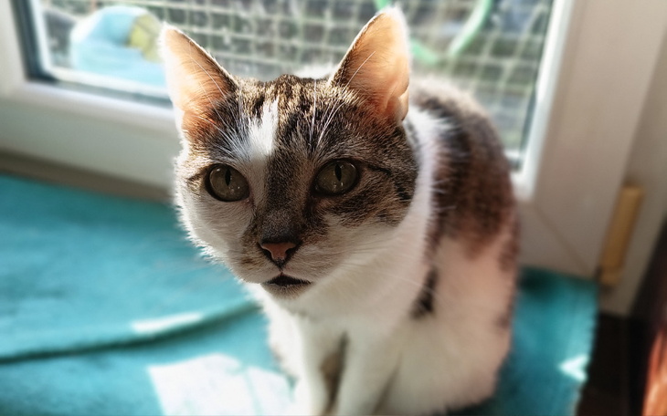 Zbiórka Mami prosi o wsparcie - zdjęcie główne