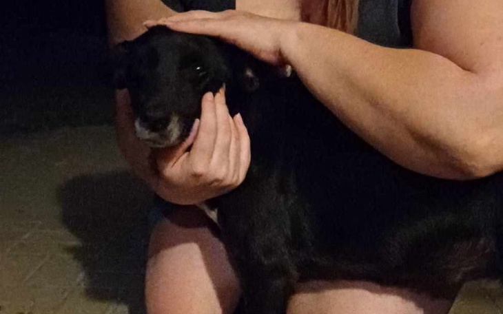 Zbiórka Po lepszy los - zdjęcie główne