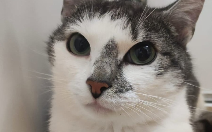 Zbiórka Ekstrakcja zębów - zdjęcie główne