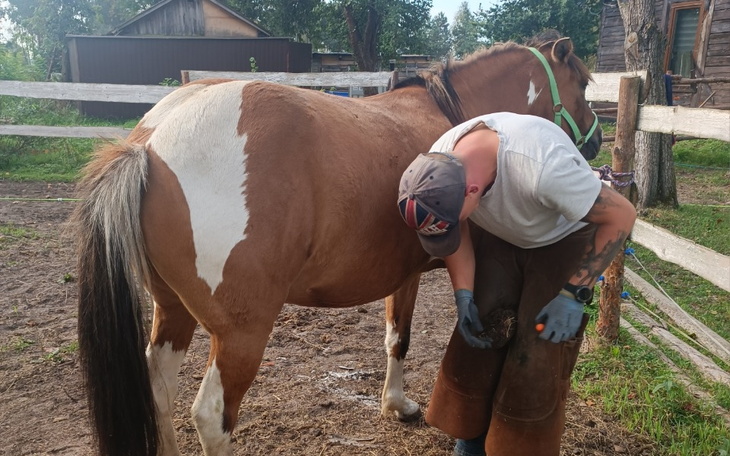 Zbiórka Na opłacenie kowala - zdjęcie główne