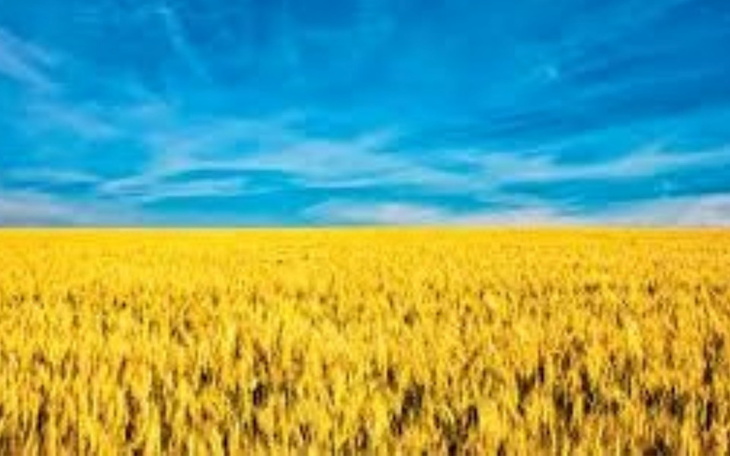 Zbiórka Pomoc Na Odbudowe Ukrainy - zdjęcie główne