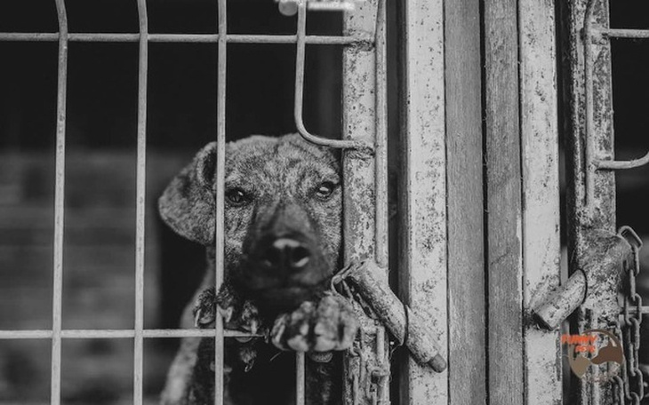 Zbiórka Nasi podopieczni - zdjęcie główne