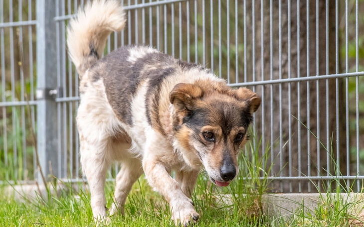 Zbiórka Wyprawka do domu dla Cudaka - zdjęcie główne