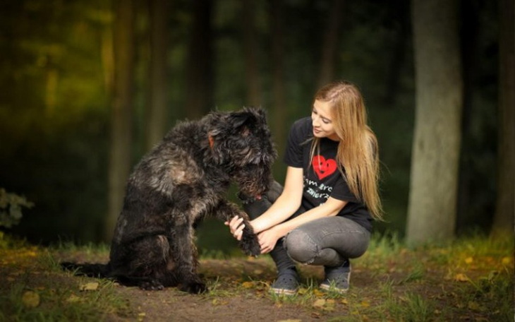 Zbiórka Obroże Foresto dla 180 psów - zdjęcie główne