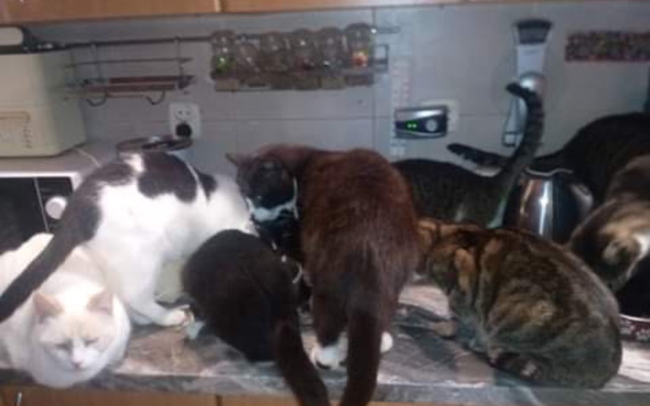 Zbiórka Pomóż zapełnić pusty magazyn - zdjęcie główne