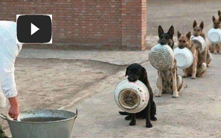 Zbiórka Pomóż mi spełnić marzenie a ... - zdjęcie główne