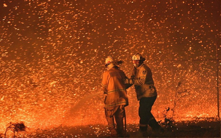Zbiórka Australia płonie Ratujmy świat - zdjęcie główne