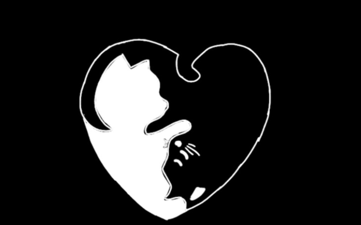 Zbiórka slownik dla sebka - zdjęcie główne