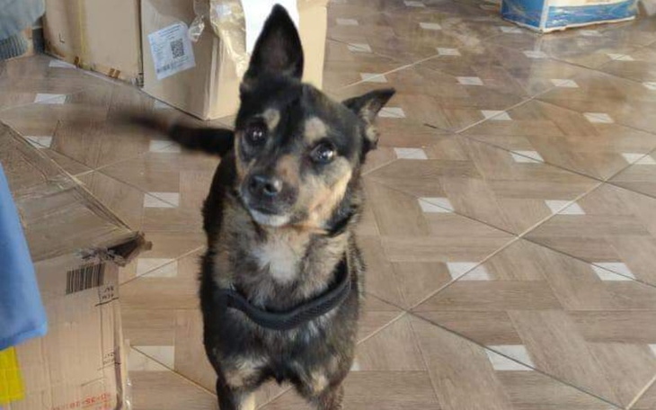 Zbiórka Ratujemy ofiary wojny na Ukraini - zdjęcie główne