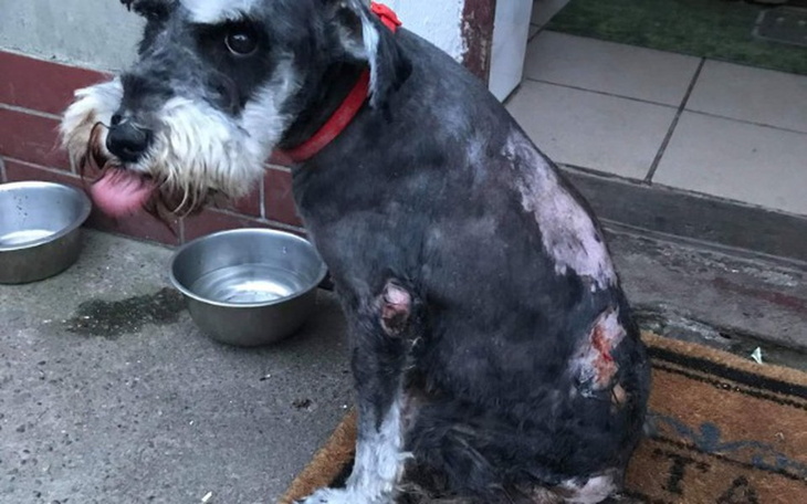 Zbiórka Szczęście na kółkach się toczy - zdjęcie główne