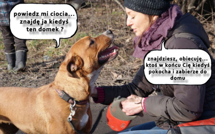 Zbiórka Dla Nessie na hotelik i jedzonko - zdjęcie główne