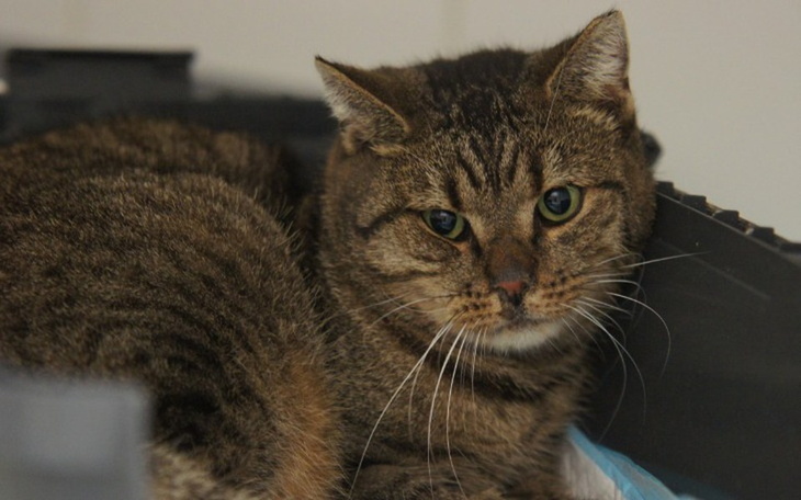 Zbiórka Banitka - zdjęcie główne