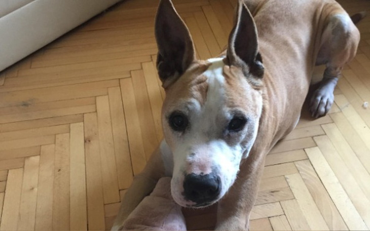 Zbiórka operacja Hero - zdjęcie główne