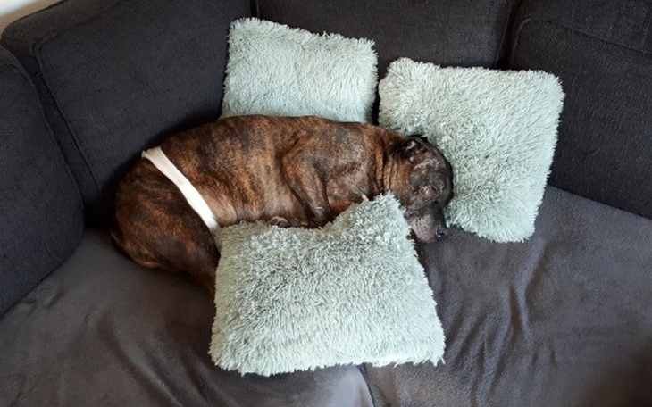 Zbiórka Pampersy dla seniora - zdjęcie główne