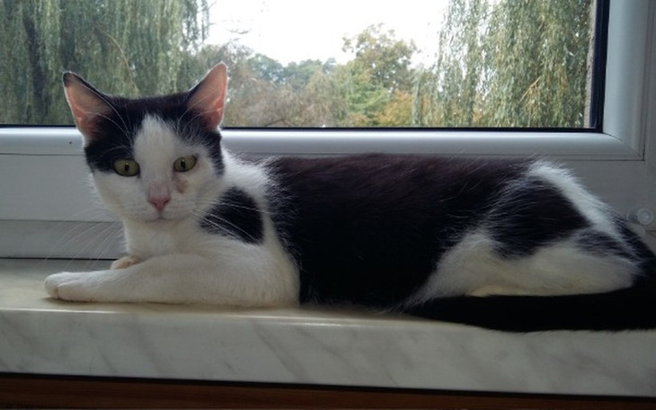 Zbiórka Nowe domy - zdjęcie główne