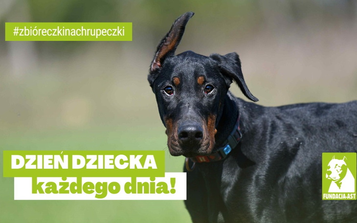 Zbiórka Zbióreczki na chrupeczki - zdjęcie główne