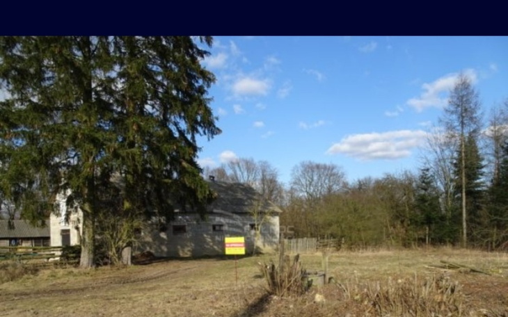 Widok na działkę z domem i drzewami w tle.