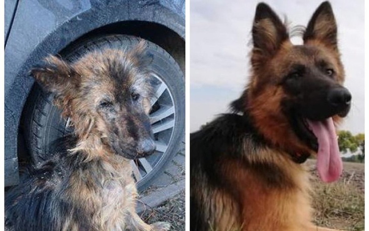 Zbiórka Brzuchy już nie będą puste - zdjęcie główne