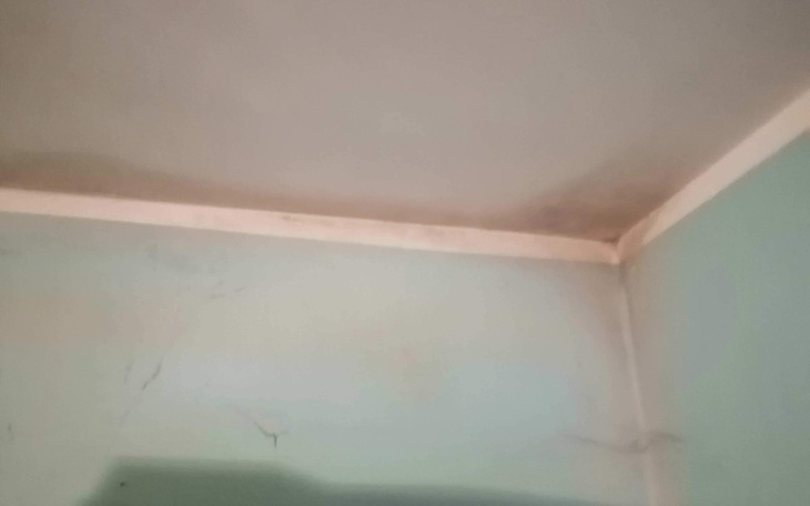 Zbiórka Remont zapleśniałego domu - zdjęcie główne