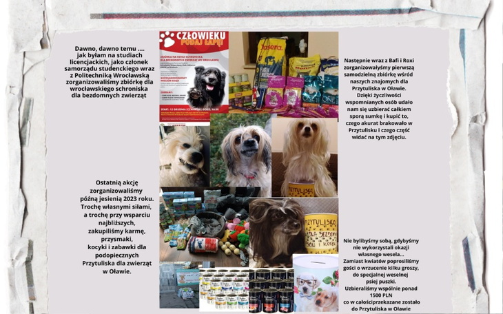 Zbiórka Zbiórka na mokrą karmę - zdjęcie główne