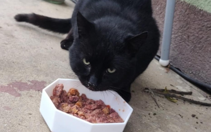 Zbiórka AKCJA Puszka dla bezdomniaka - zdjęcie główne