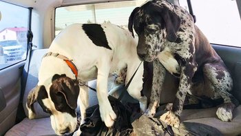 Zbiórka Droga po lepsze życie - miniaturka zdjęcia