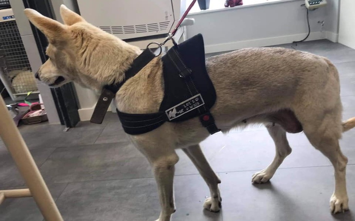 Zbiórka Aby dalej móc pomagać - zdjęcie główne