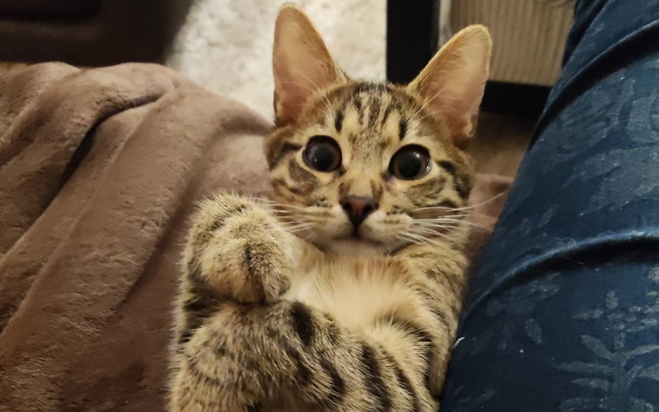 Zbiórka Czesio - zdjęcie główne