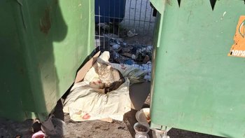 Zbiórka Śmietniki były jego domem - miniaturka zdjęcia