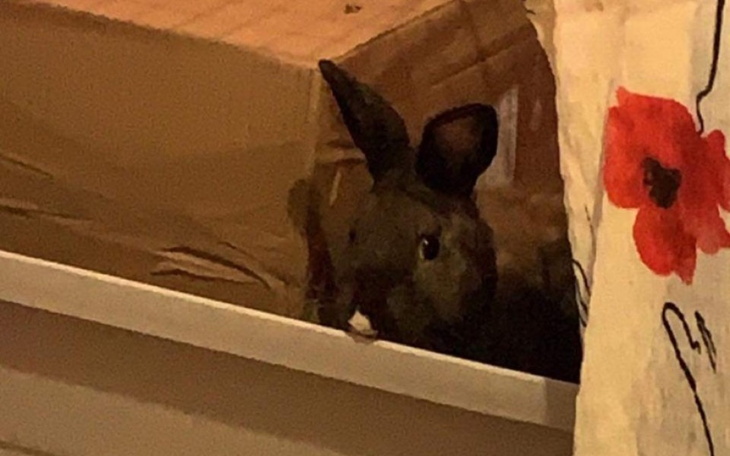 Zbiórka Pomoc finansowa dla Karolka - zdjęcie główne