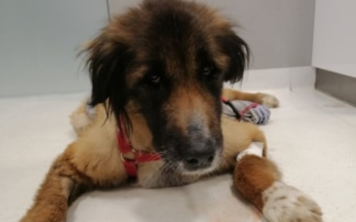 Zbiórka Na pierwszy krok - zdjęcie główne