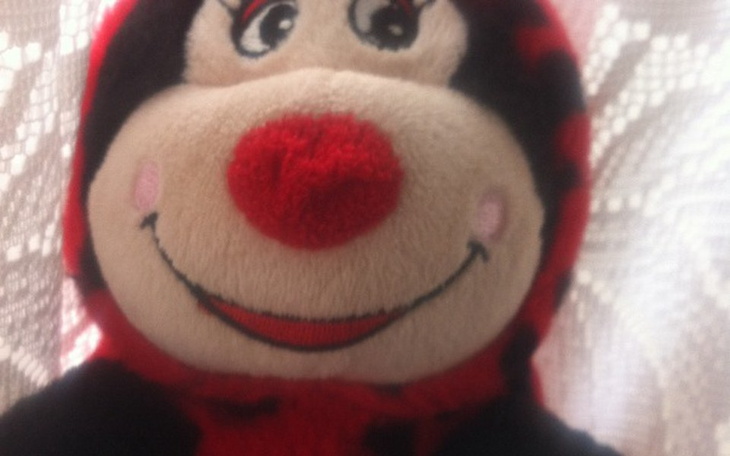 Zbiórka Nowo dom - zdjęcie główne