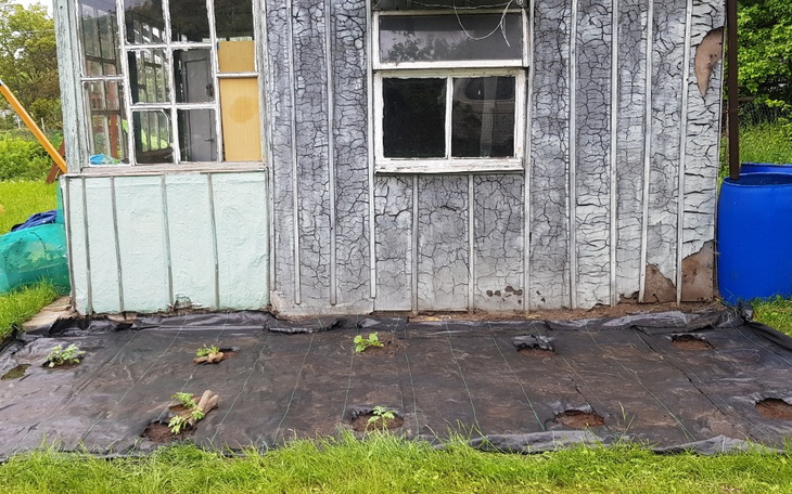 Zbiórka Remont letniaka rodos - zdjęcie główne