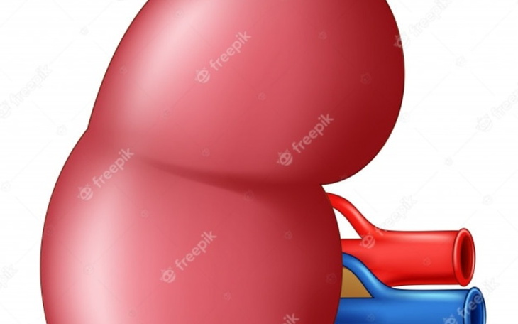 Zbiórka Sprzedam nerkę - zdjęcie główne