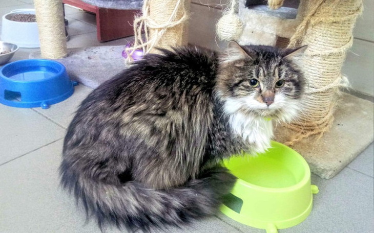 Zbiórka Krzysiu walczy z białaczką!!!! - zdjęcie główne