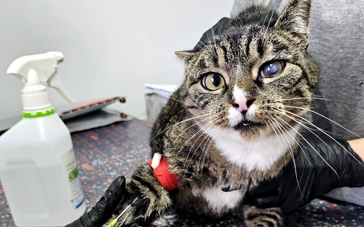 Zbiórka Cecylia ze stacji benzynowej - zdjęcie główne