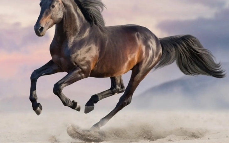 Koń galopujący po plaży, z grzywą powiewającą na wietrze.