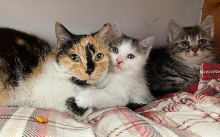 Zbiórka Niechciane wyrzucone w worku - zdjęcie główne