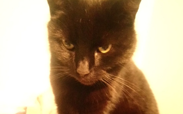 Zbiórka na karme dla zuzi - zdjęcie główne