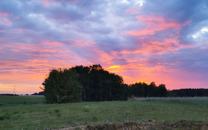 Zbiórka Rajski Ogród - zdjęcie główne