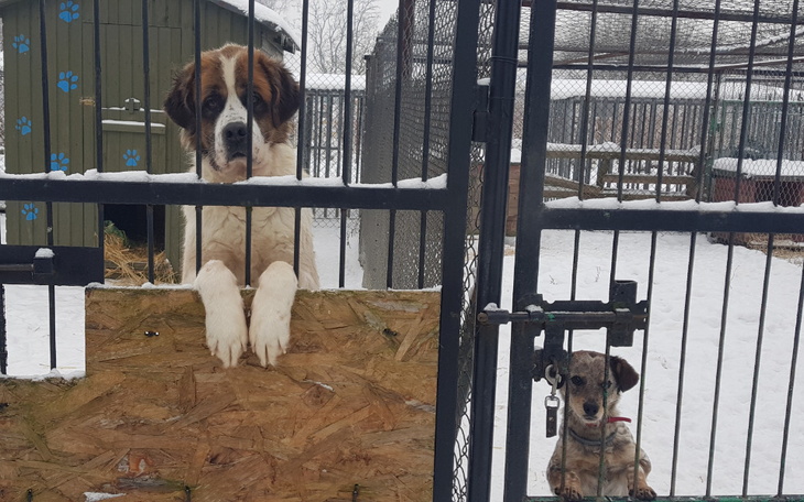 Zbiórka Nie mamy już siły... - zdjęcie główne