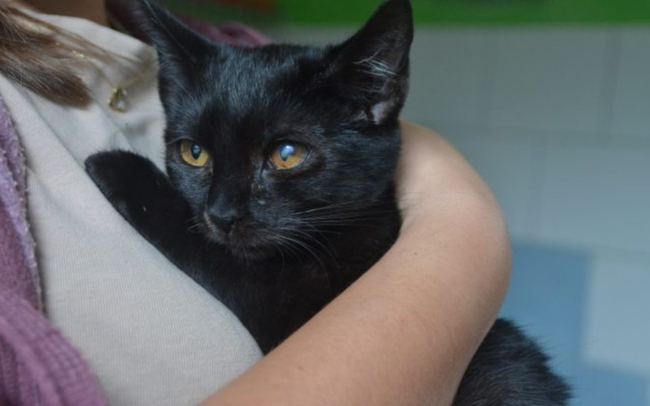 Zbiórka Niechciana, niekochana, bezdomna - zdjęcie główne