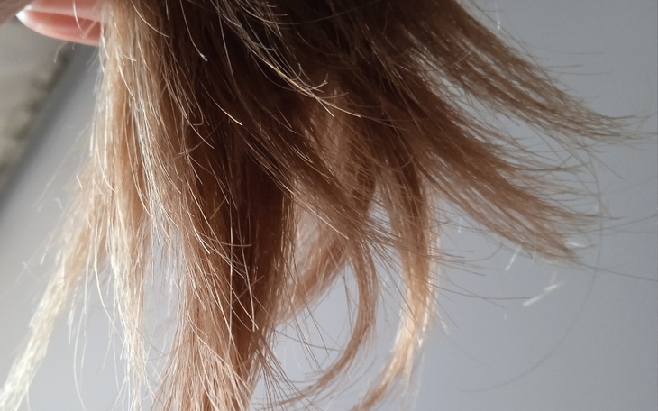 Zbiórka Naprawa zniszczonych włosów - zdjęcie główne