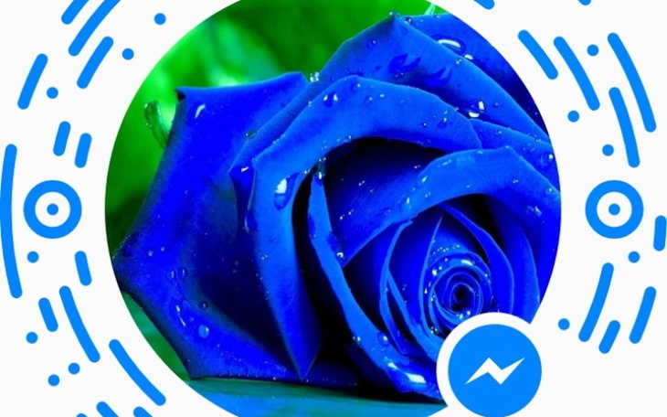 Zbiórka Potrzebny wegiel - zdjęcie główne