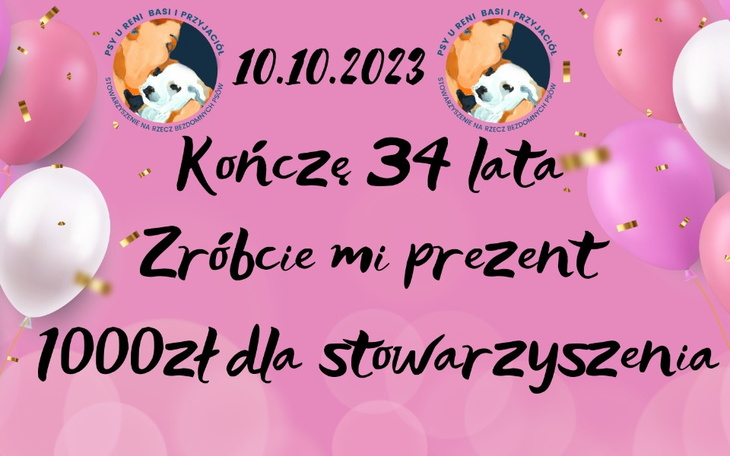 Zbiórka Moja zbiórka urodzinowa dla psów - zdjęcie główne
