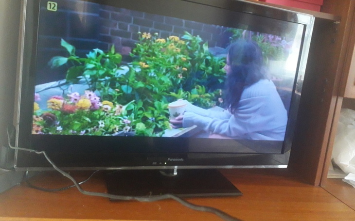 Zbiórka Z rzuUTKA NA ROZWÓJ KANAŁU BĘC - zdjęcie główne